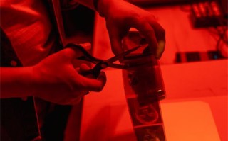 《蛮好的人生》-全集百度云【720高清国语版】下载